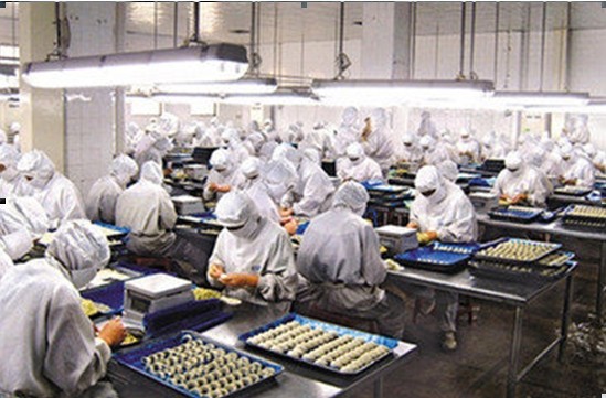 食品加工厂人员工作服选择指南